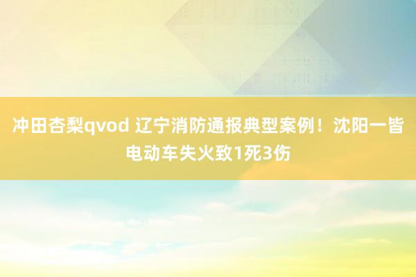 冲田杏梨qvod 辽宁消防通报典型案例！沈阳一皆电动车失火致1死3伤