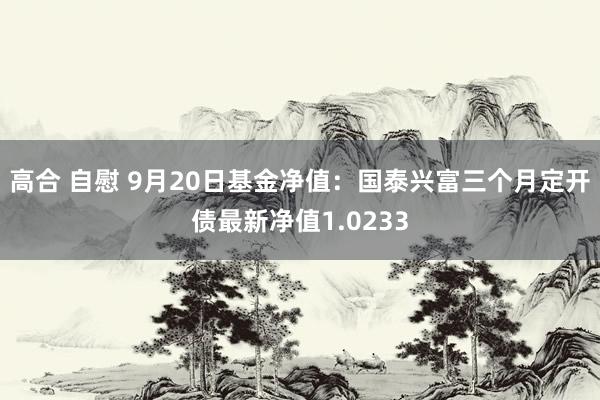 高合 自慰 9月20日基金净值：国泰兴富三个月定开债最新净值1.0233