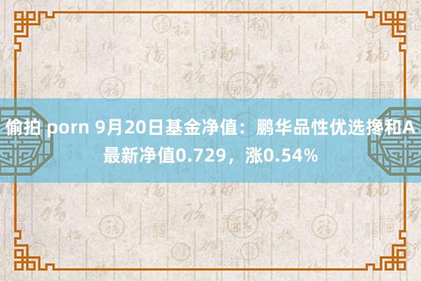 偷拍 porn 9月20日基金净值：鹏华品性优选搀和A最新净值0.729，涨0.54%