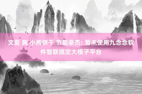 文爱 胸 小熊饼干 节能豪杰: 暂未使用九念念软件智联搞定大模子平台