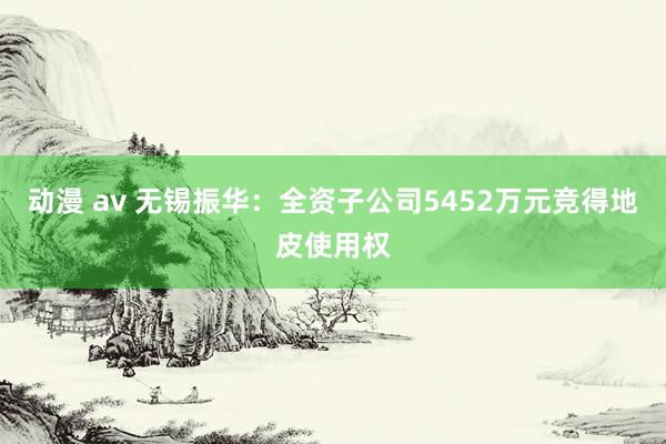 动漫 av 无锡振华：全资子公司5452万元竞得地皮使用权