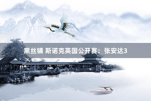 黑丝铺 斯诺克英国公开赛:张安达3