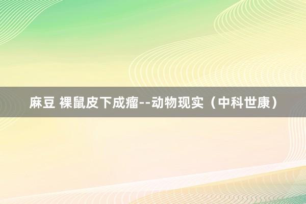 麻豆 裸鼠皮下成瘤--动物现实(中科世康)
