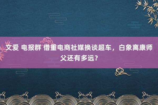 文爱 电报群 借重电商社媒换谈超车，白象离康师父还有多远？