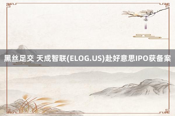 黑丝足交 天成智联(ELOG.US)赴好意思IPO获备案