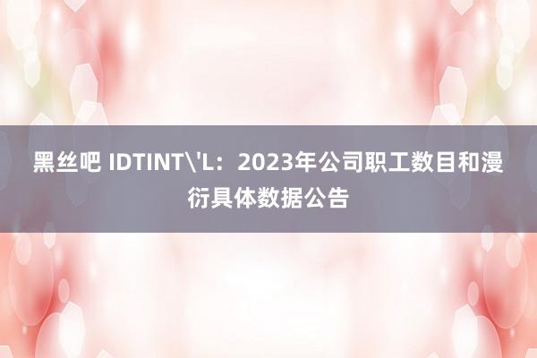 黑丝吧 IDTINT'L：2023年公司职工数目和漫衍具体数据公告