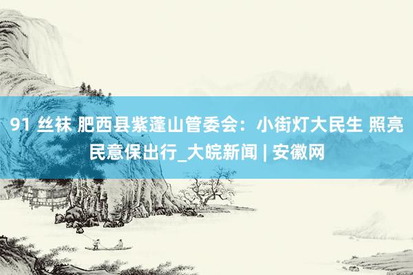 91 丝袜 肥西县紫蓬山管委会：小街灯大民生 照亮民意保出行_大皖新闻 | 安徽网