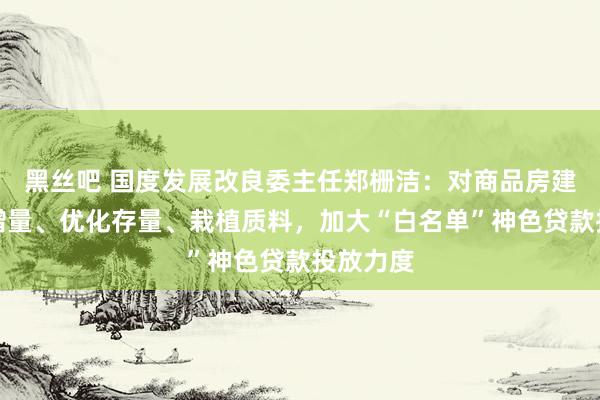 黑丝吧 国度发展改良委主任郑栅洁：对商品房建树严控增量、优化存量、栽植质料，加大“白名单”神色贷款投