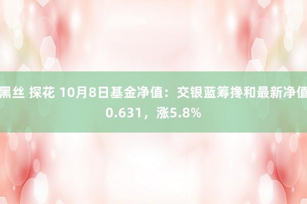 黑丝 探花 10月8日基金净值：交银蓝筹搀和最新净值0.631，涨5.8%