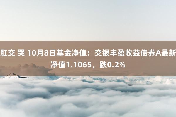 肛交 哭 10月8日基金净值：交银丰盈收益债券A最新净值1.1065，跌0.2%