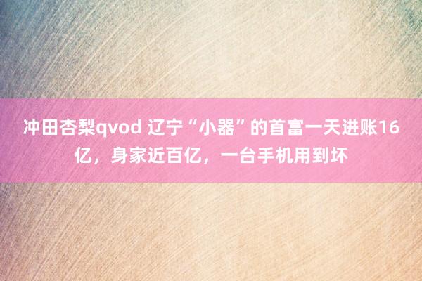 冲田杏梨qvod 辽宁“小器”的首富一天进账16亿，身家近百亿，一台手机用到坏