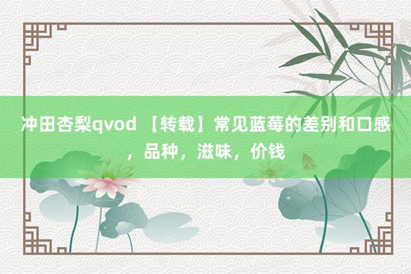 冲田杏梨qvod 【转载】常见蓝莓的差别和口感，品种，滋味，价钱