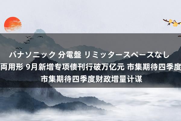 パナソニック 分電盤 リミッタースペースなし 露出・半埋込両用形 9月新增专项债刊行破万亿元 市集期