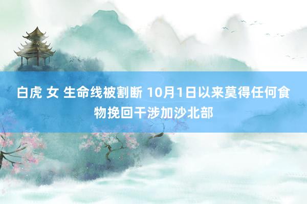 白虎 女 生命线被割断 10月1日以来莫得任何食物挽回干涉加沙北部