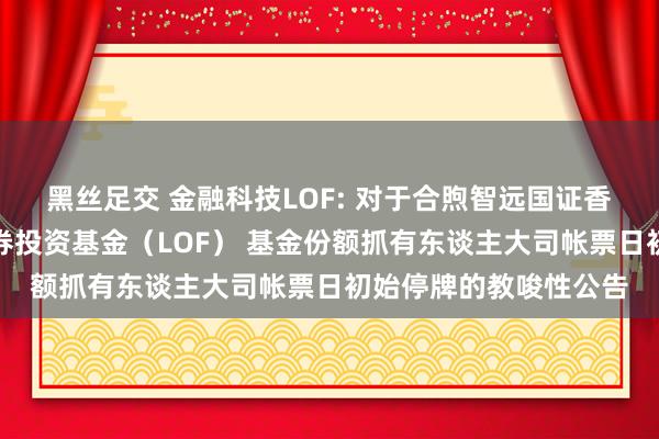 黑丝足交 金融科技LOF: 对于合煦智远国证香蜜湖金融科技指数证券投资基金（LOF） 基金份额抓有东