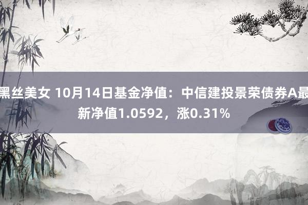黑丝美女 10月14日基金净值：中信建投景荣债券A最新净值1.0592，涨0.31%