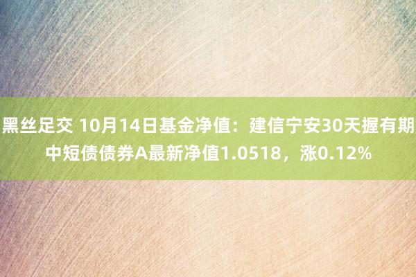 黑丝足交 10月14日基金净值：建信宁安30天握有期中短债债券A最新净值1.0518，涨0.12%