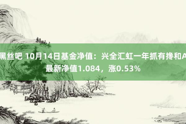 黑丝吧 10月14日基金净值：兴全汇虹一年抓有搀和A最新净值1.084，涨0.53%