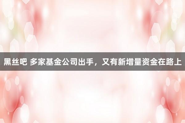 黑丝吧 多家基金公司出手，又有新增量资金在路上