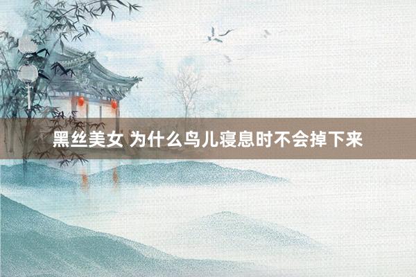 黑丝美女 为什么鸟儿寝息时不会掉下来
