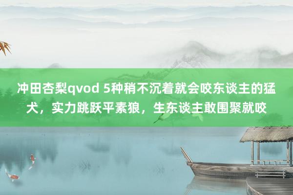 冲田杏梨qvod 5种稍不沉着就会咬东谈主的猛犬，实力跳跃平素狼，生东谈主敢围聚就咬