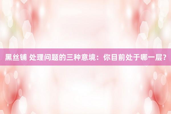 黑丝铺 处理问题的三种意境：你目前处于哪一层？