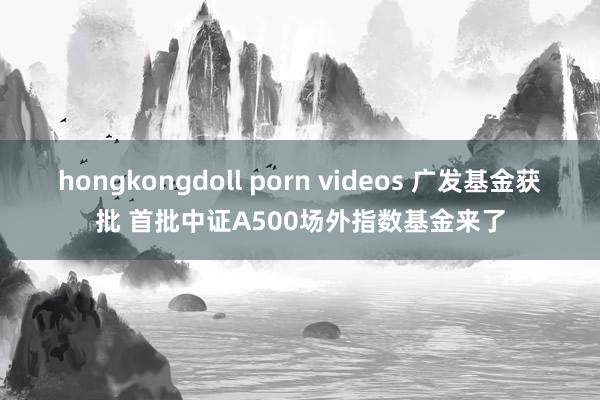 hongkongdoll porn videos 广发基金获批 首批中证A500场外指数基金来了