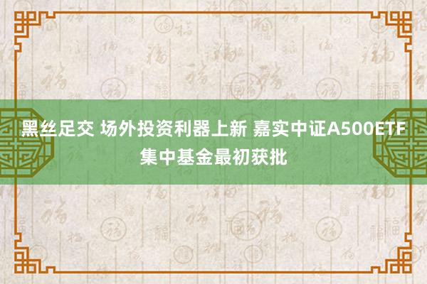 黑丝足交 场外投资利器上新 嘉实中证A500ETF集中基金最初获批