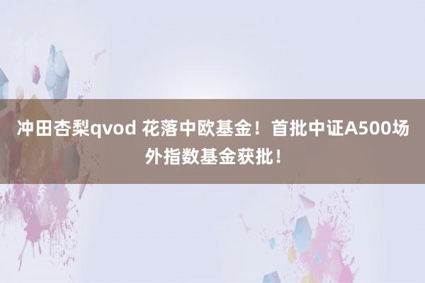 冲田杏梨qvod 花落中欧基金！首批中证A500场外指数基金获批！