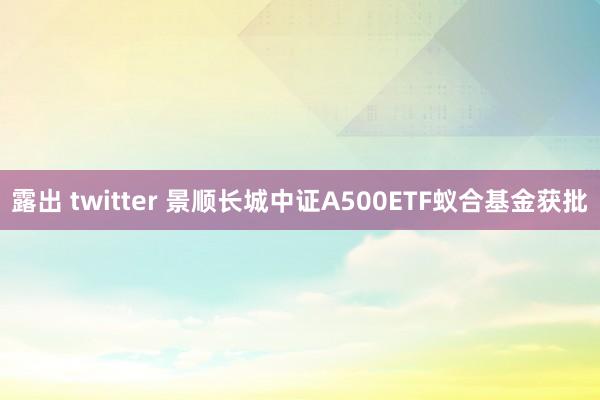露出 twitter 景顺长城中证A500ETF蚁合基金获批