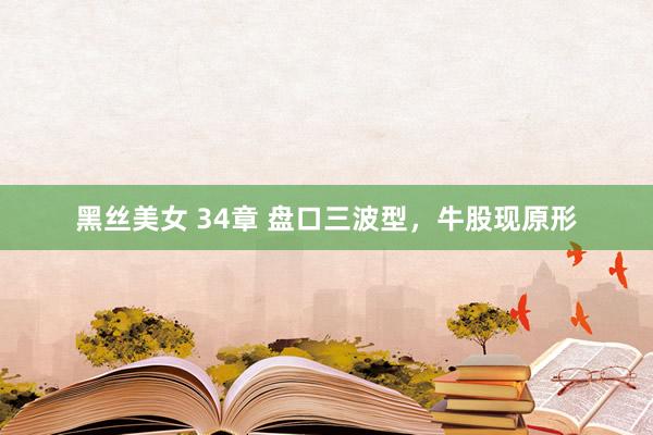 黑丝美女 34章 盘口三波型，牛股现原形