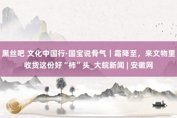 黑丝吧 文化中国行·国宝说骨气|霜降至,来文物里收货这份好“柿”头_大皖新闻 | 安徽网