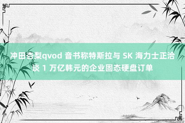 冲田杏梨qvod 音书称特斯拉与 SK 海力士正洽谈 1 万亿韩元的企业固态硬盘订单