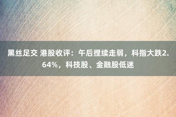 黑丝足交 港股收评：午后捏续走弱，科指大跌2.64%，科技股、金融股低迷