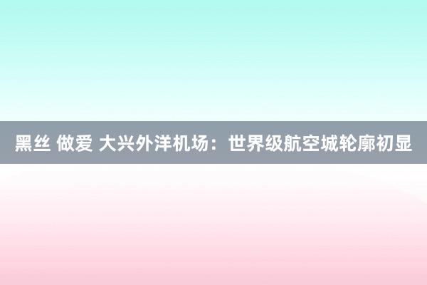 黑丝 做爱 大兴外洋机场：世界级航空城轮廓初显