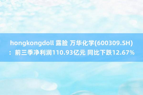 hongkongdoll 露脸 万华化学(600309.SH)：前三季净利润110.93亿元 同比下