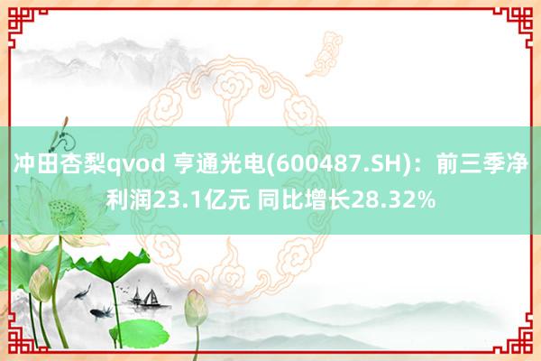 冲田杏梨qvod 亨通光电(600487.SH)：前三季净利润23.1亿元 同比增长28.32%