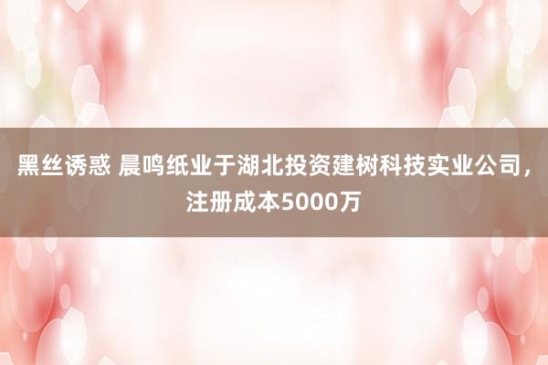 黑丝诱惑 晨鸣纸业于湖北投资建树科技实业公司，注册成本5000万