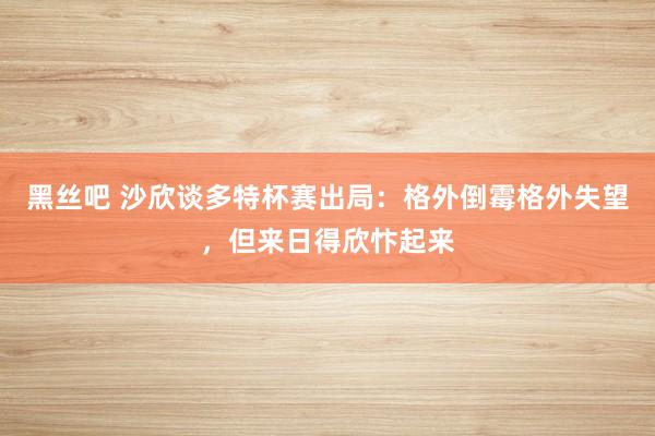 黑丝吧 沙欣谈多特杯赛出局：格外倒霉格外失望，但来日得欣忭起来
