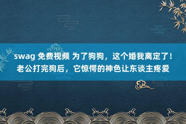 swag 免费视频 为了狗狗，这个婚我离定了！老公打完狗后，它惊愕的神色让东谈主疼爱
