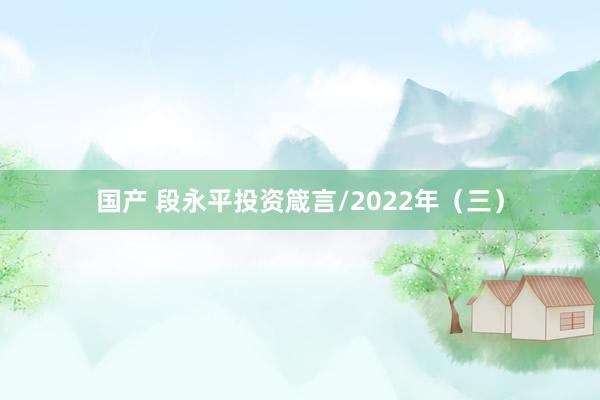 国产 段永平投资箴言/2022年（三）