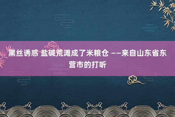 黑丝诱惑 盐碱荒滩成了米粮仓 ——来自山东省东营市的打听