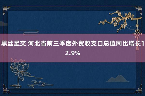 黑丝足交 河北省前三季度外贸收支口总值同比增长12.9%