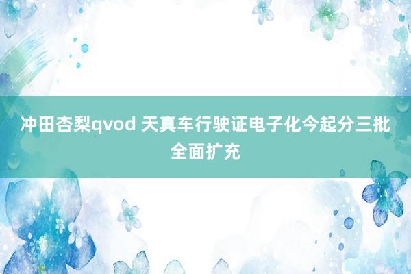冲田杏梨qvod 天真车行驶证电子化今起分三批全面扩充