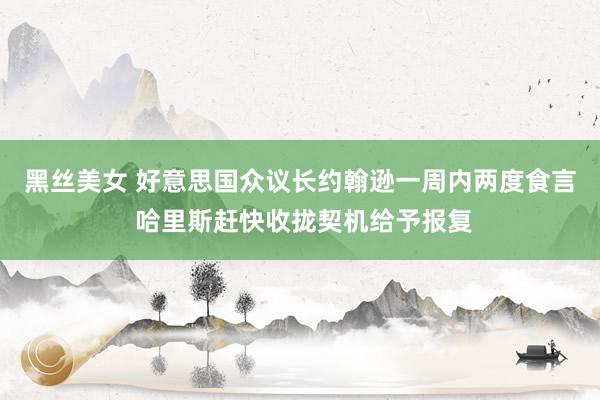 黑丝美女 好意思国众议长约翰逊一周内两度食言 哈里斯赶快收拢契机给予报复