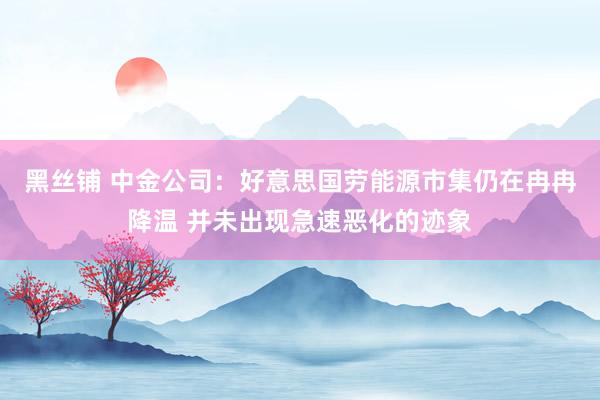 黑丝铺 中金公司：好意思国劳能源市集仍在冉冉降温 并未出现急速恶化的迹象