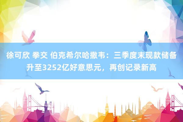 徐可欣 拳交 伯克希尔哈撒韦：三季度末现款储备升至3252亿好意思元，再创记录新高