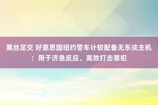 黑丝足交 好意思国纽约警车计较配备无东谈主机：用于济急反应、高效打击罪犯