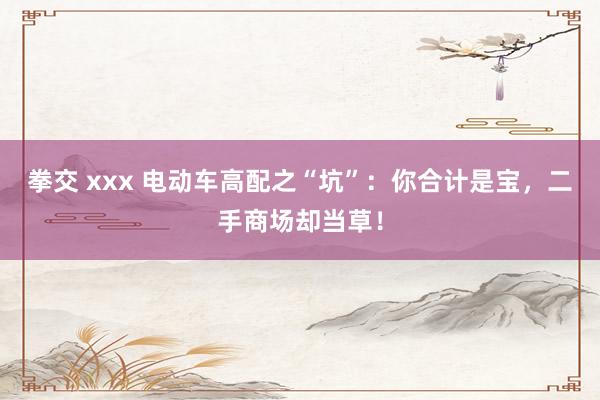 拳交 xxx 电动车高配之“坑”：你合计是宝，二手商场却当草！
