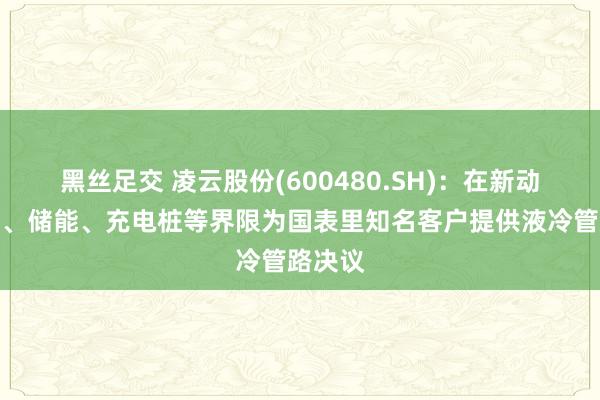 黑丝足交 凌云股份(600480.SH)：在新动力汽车、储能、充电桩等界限为国表里知名客户提供液冷管
